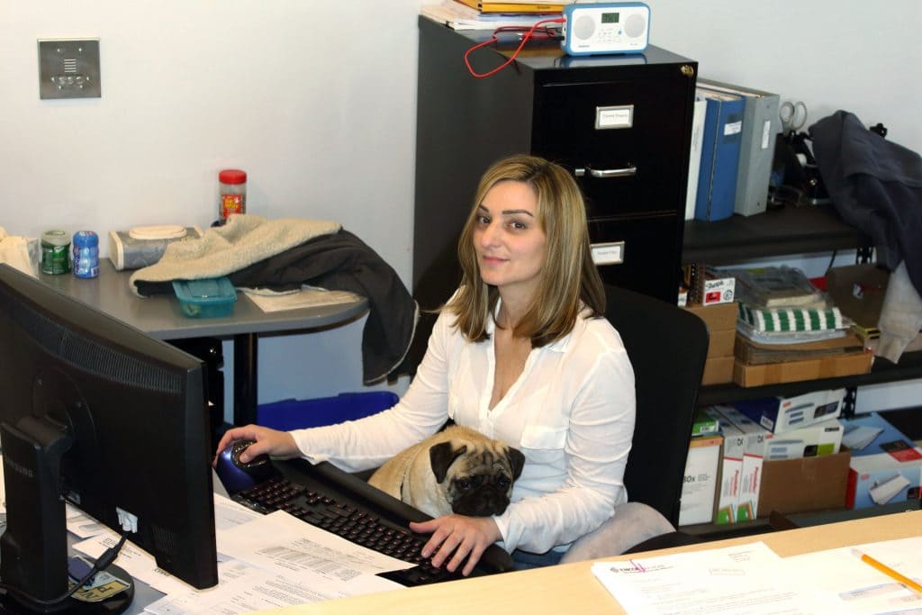 An office manager using Avontus Quantify on her computer, with a cute dog on her lap.